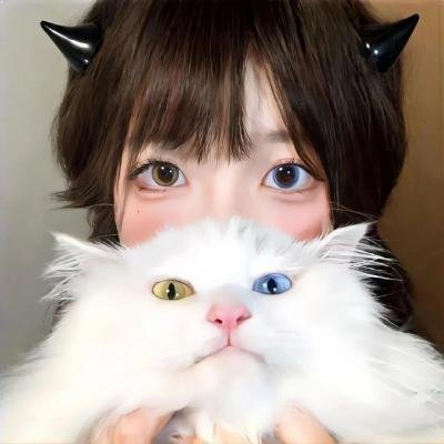 荣誉至上