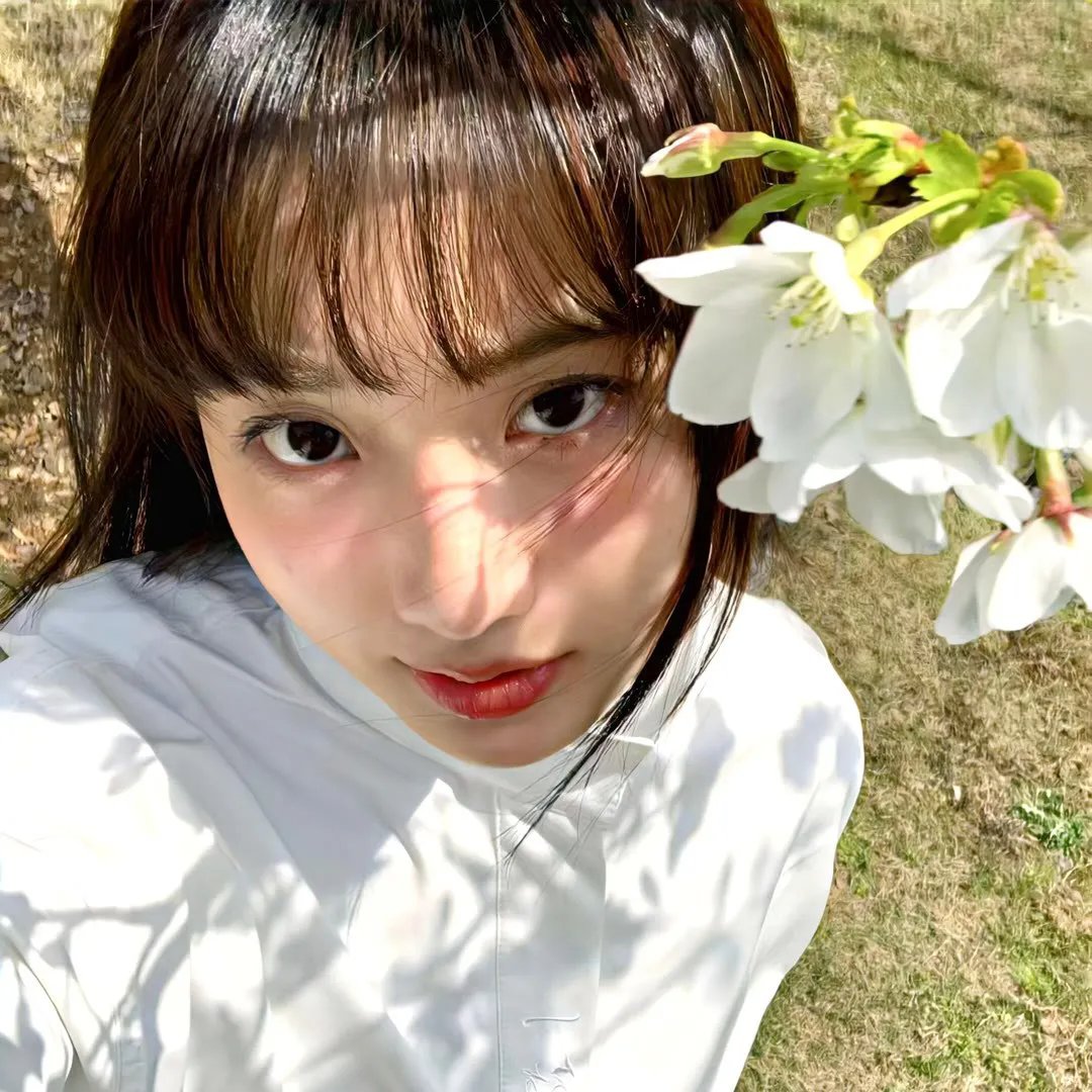 毒枭的末日